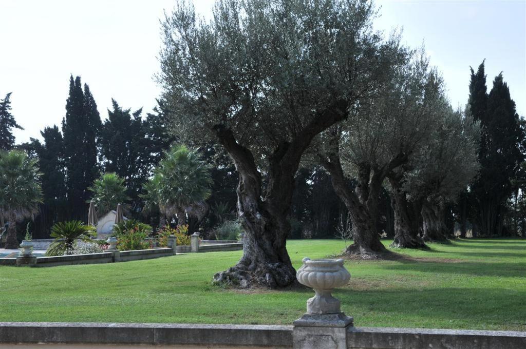Domaine Du Grand Malherbes Aimargues Exteriör bild